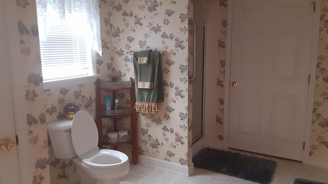 Photo of Bathroom in Roebuck