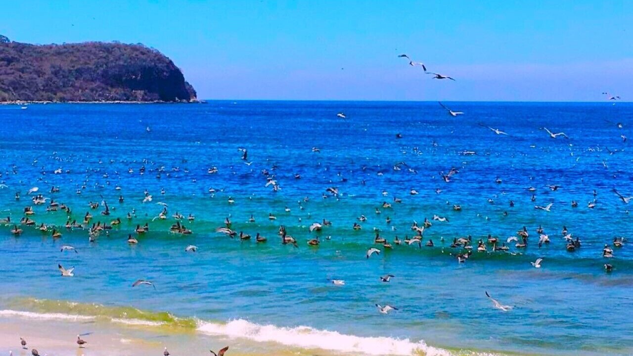 Photo of Others in Punta Negra