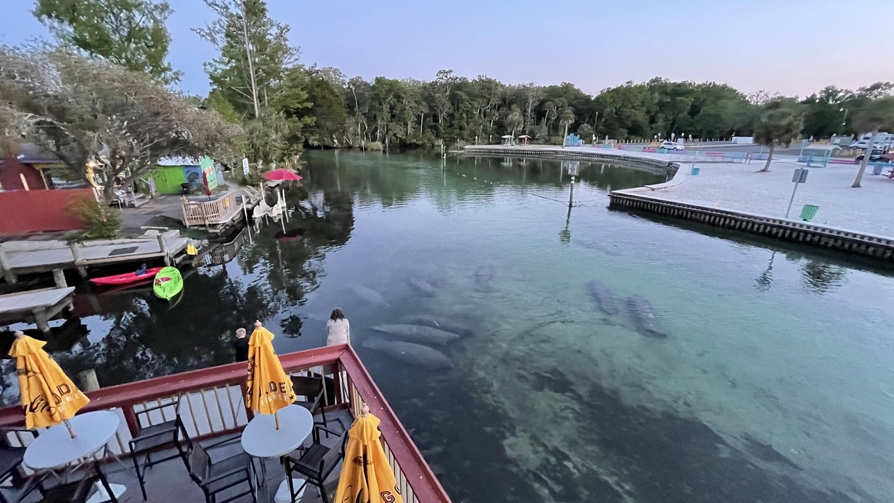 Photo of Others in Weeki Wachee Gardens