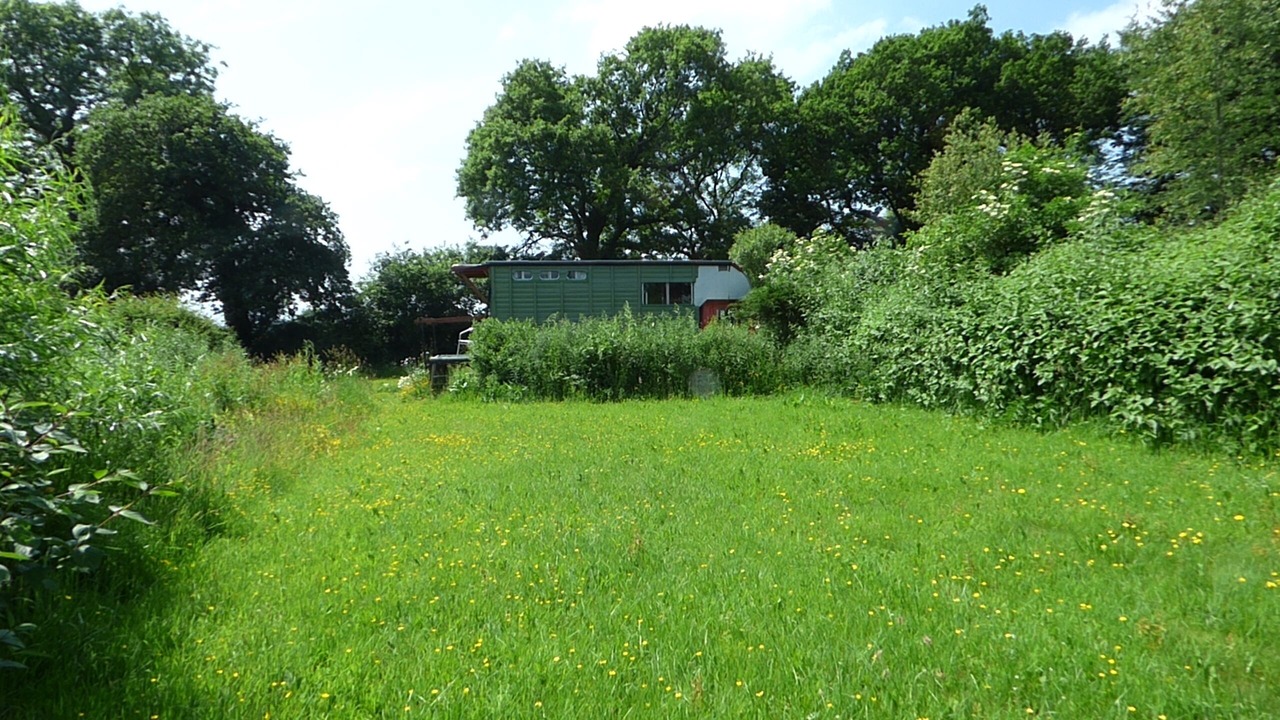 Photo of Outdoor in Cilgerran