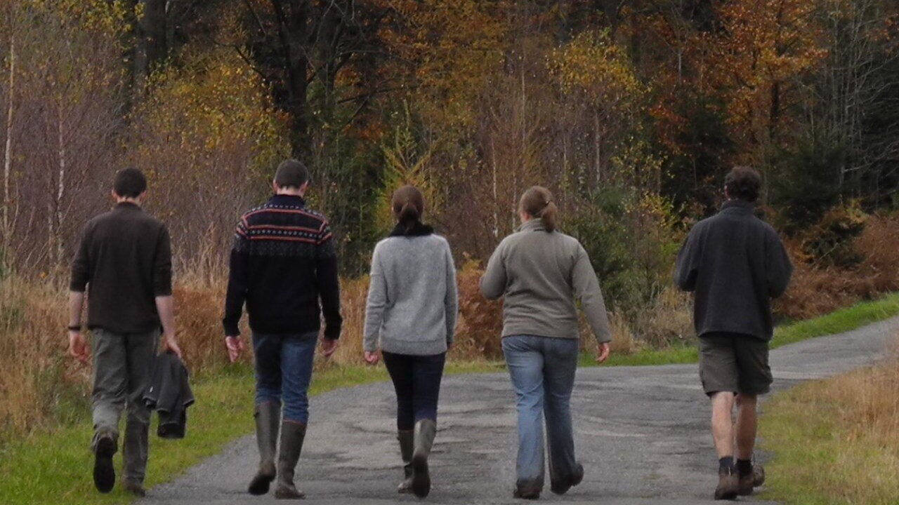 Photo of Others in Harre