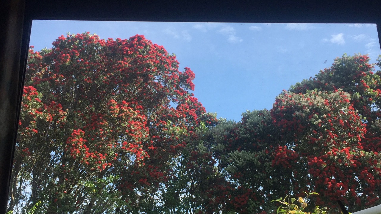 Photo of Others in Gisborne