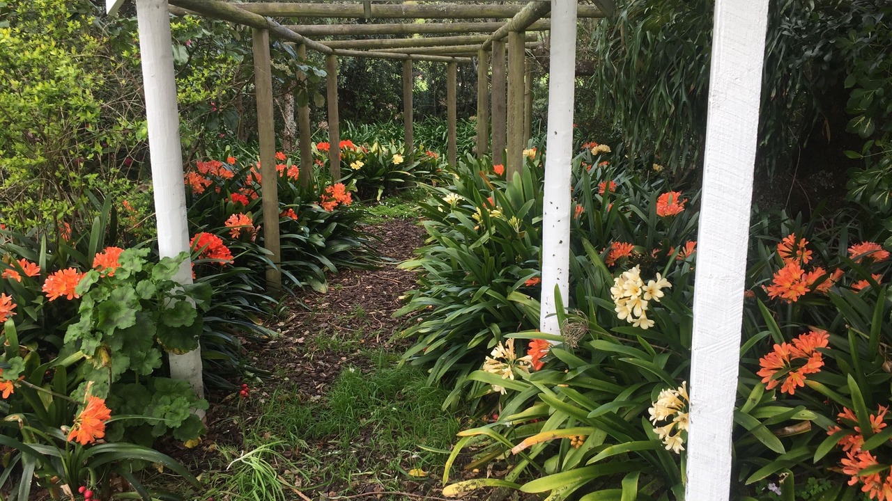 Photo of Outdoor in Gisborne