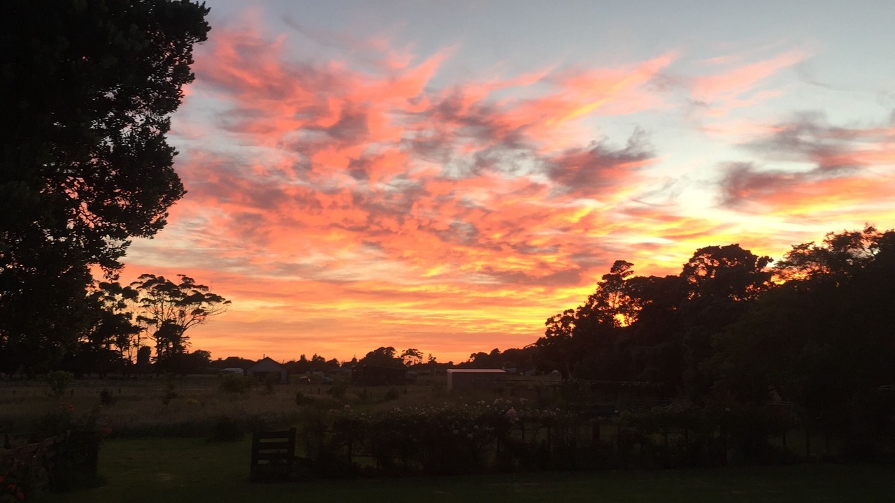 Photo of Others in Gisborne