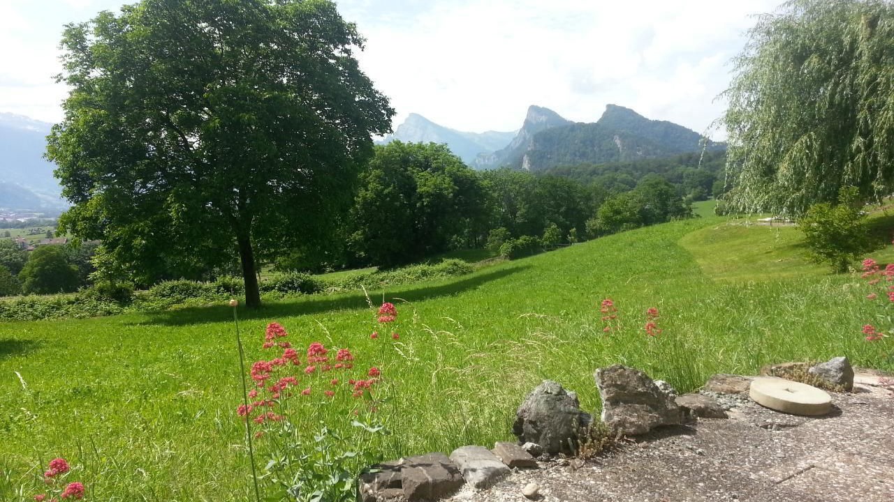 Photo of Others in Maienfeld