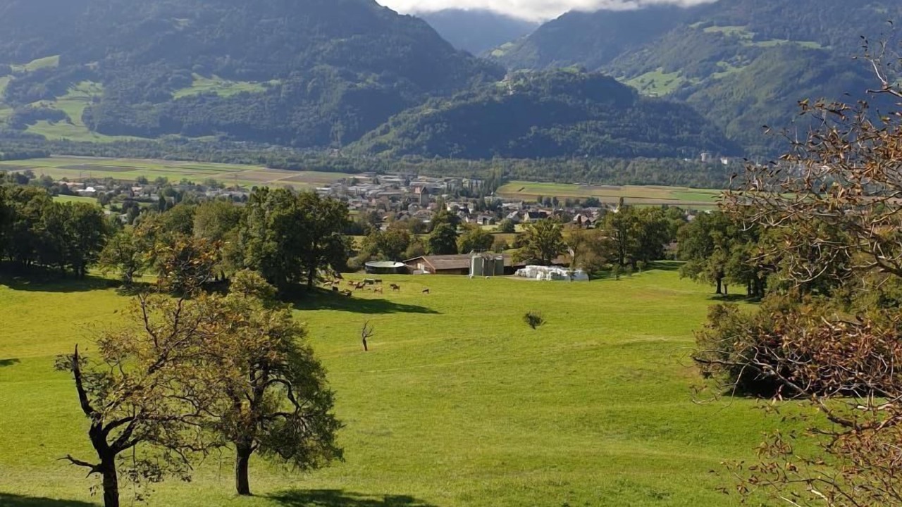 Photo of Others in Maienfeld