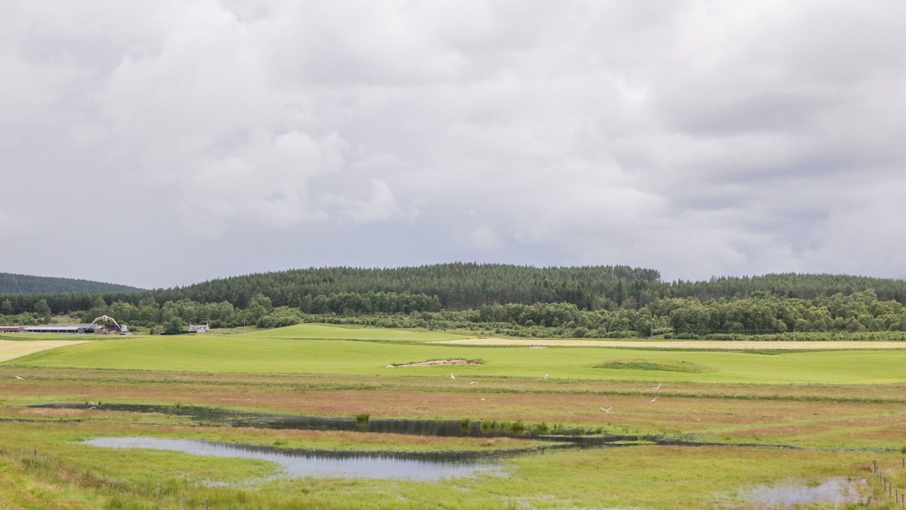 Photo of Others in Grantown-on-Spey
