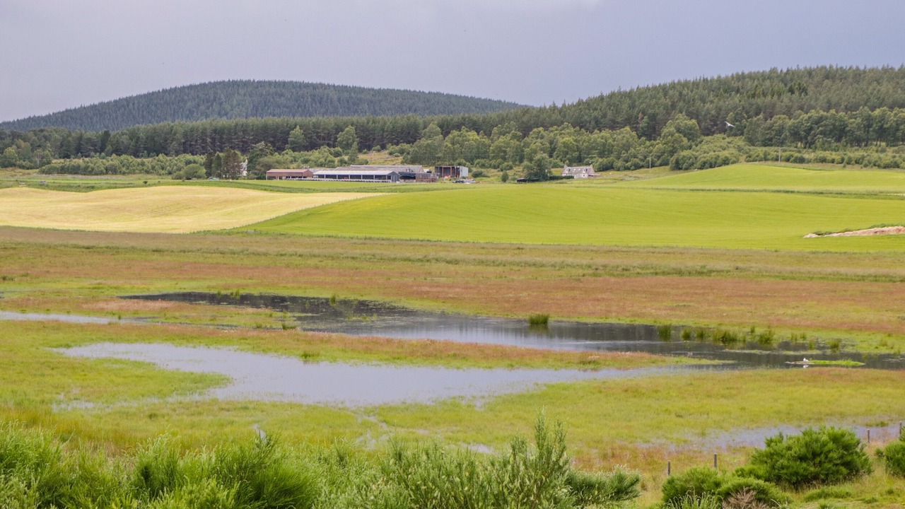 Photo of Others in Grantown-on-Spey