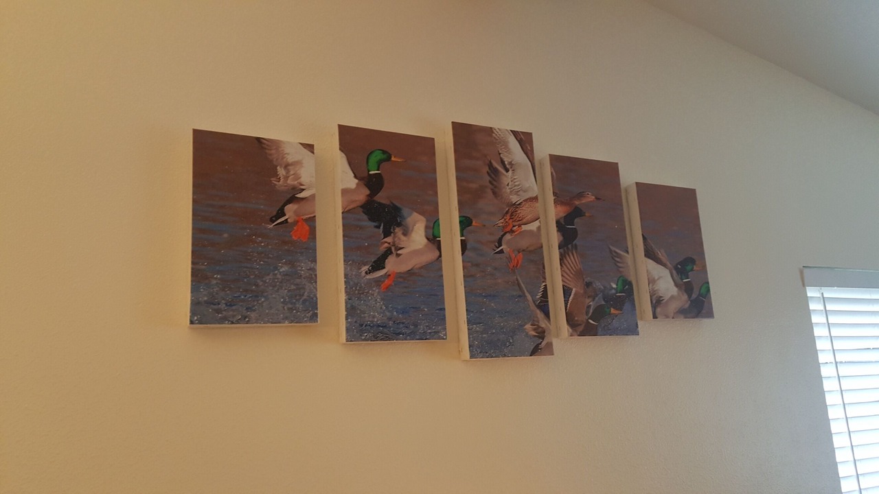 Photo of Others in Sequim