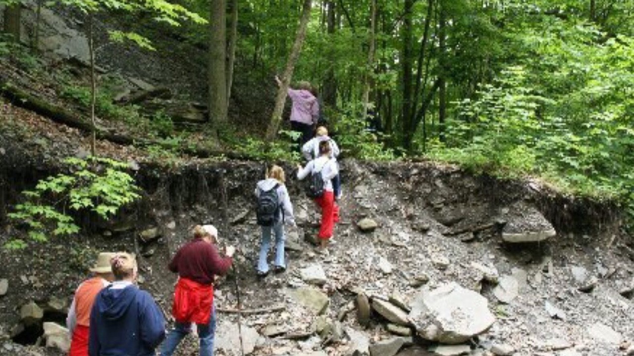 Photo of Others in Saint Joe