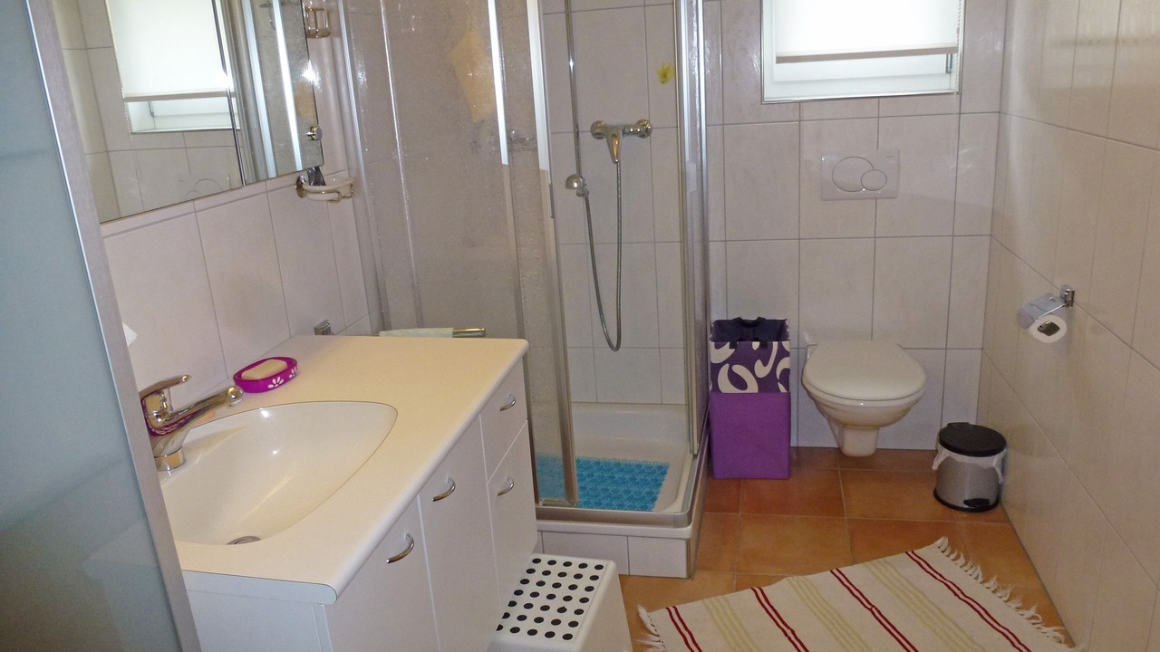 Photo of Bathroom in Tavanasa