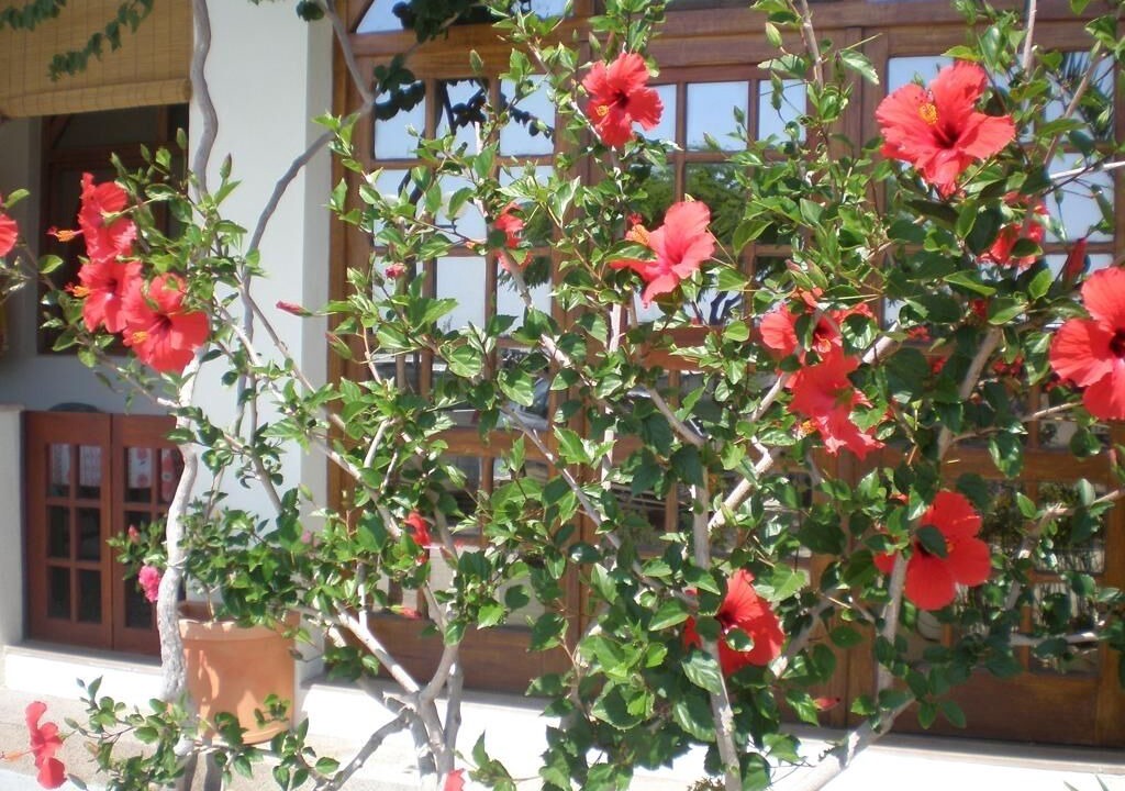 Photo of Outdoor in Drasnice