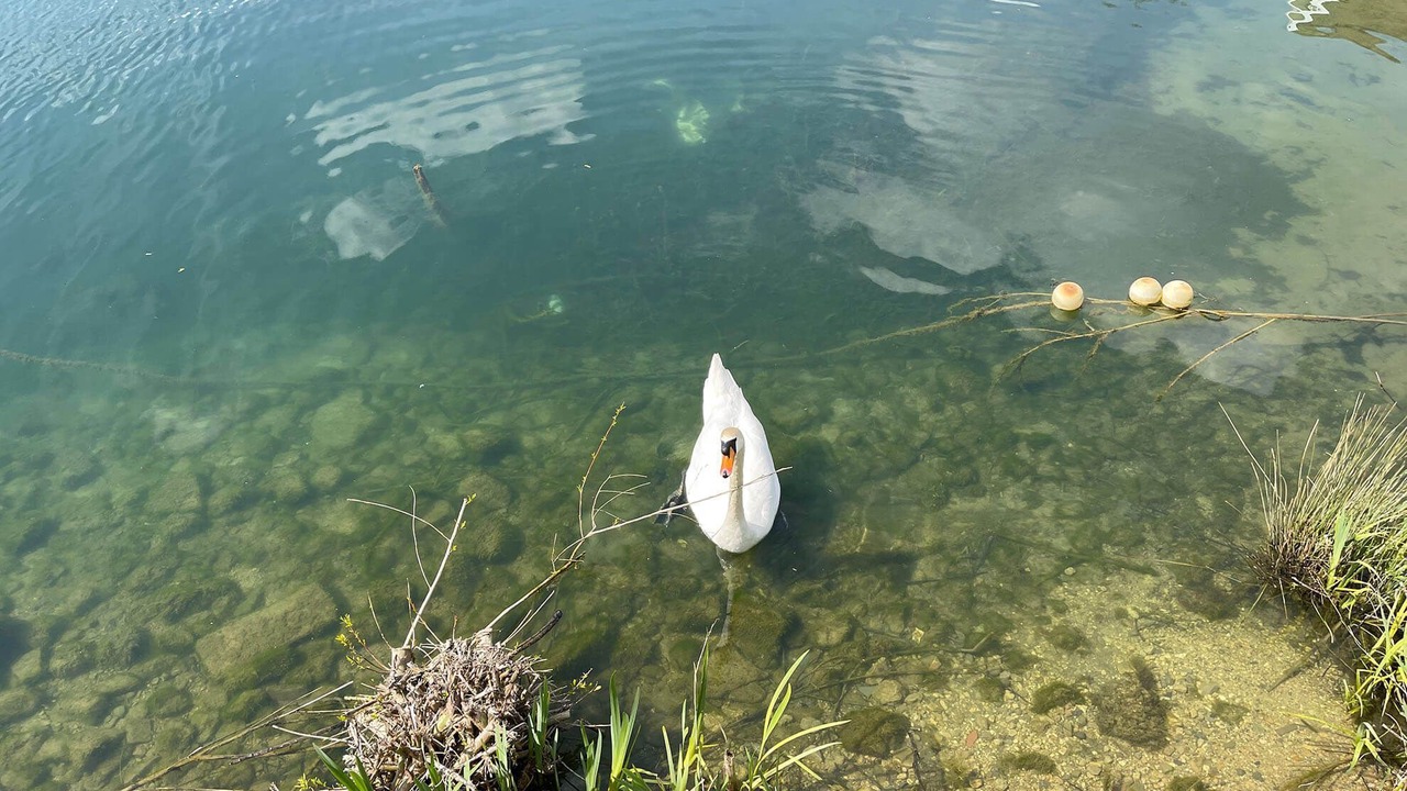 Photo of Others in South Cerney
