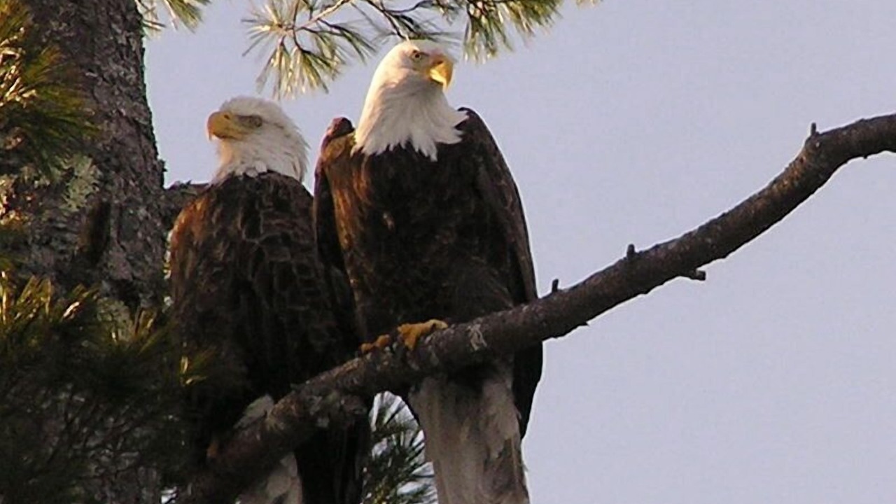 Photo of Others in Franklin
