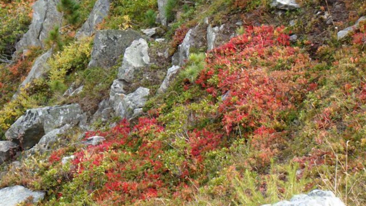 Photo of Others in Graechen