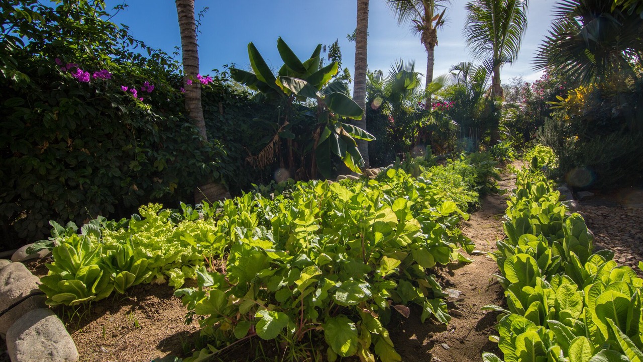 Photo of Outdoor in El Pescadero