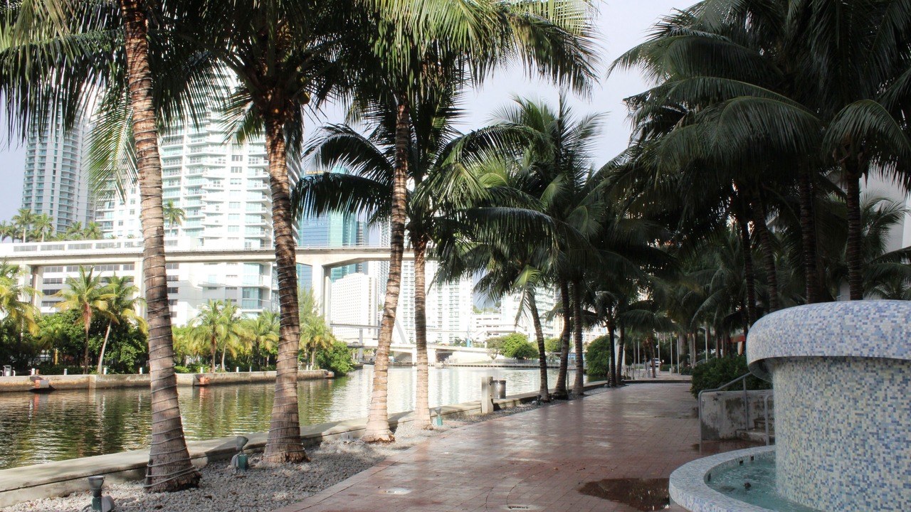 Photo of Others in Downtown Miami