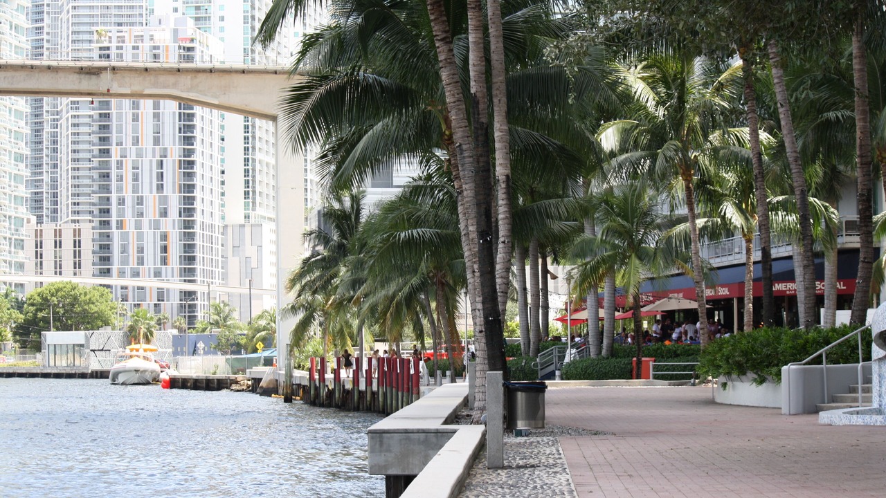 Photo of Others in Downtown Miami