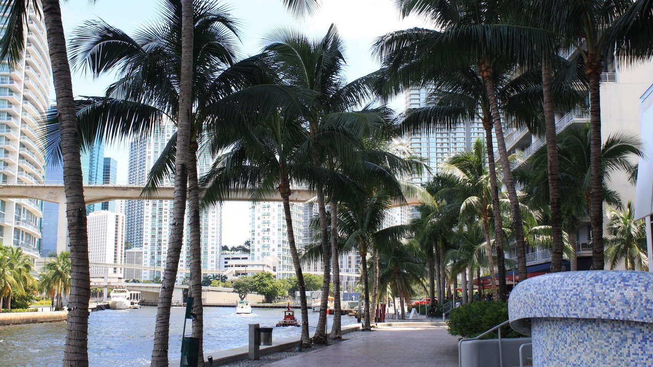Photo of Others in Downtown Miami