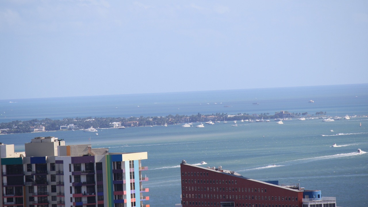 Photo of Others in Downtown Miami