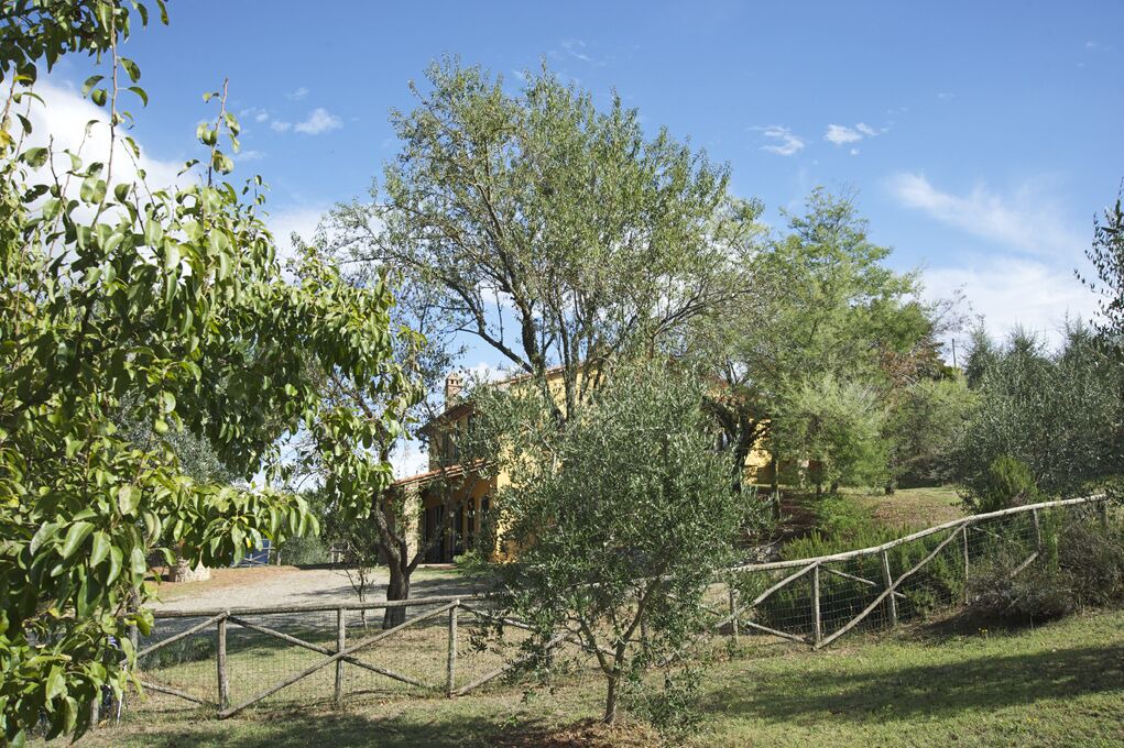 Photo of Outdoor in Lucignano