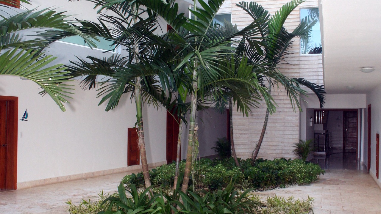 Photo of Outdoor in Boca Chica