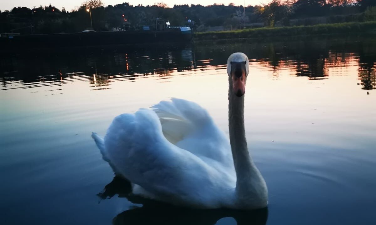 Photo of Others in Pont-sur-Yonne