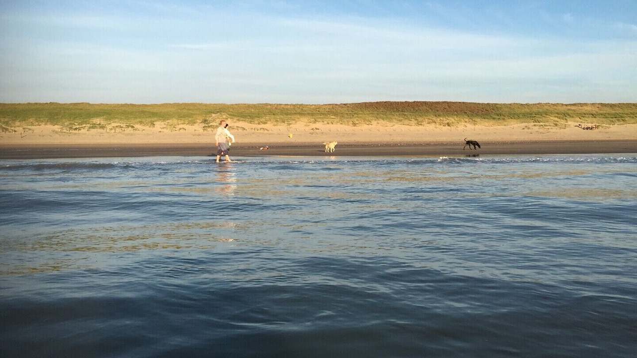 Photo of Others in IJmuiden
