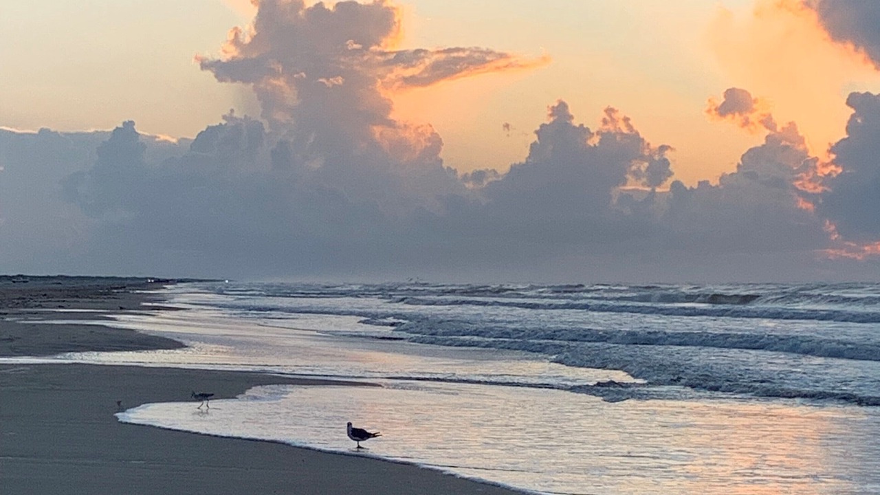 Photo of Others in Matagorda