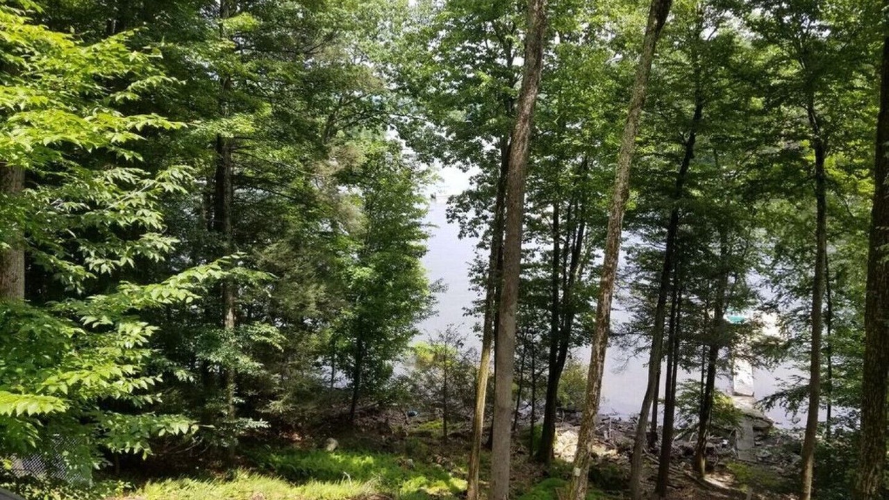 Photo of Outdoor in Greentown
