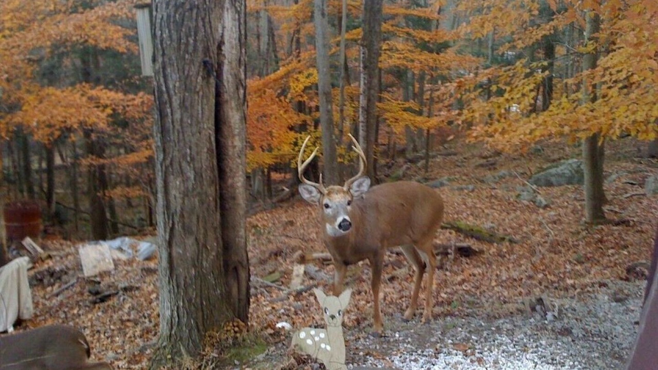 Photo of Outdoor in Greentown