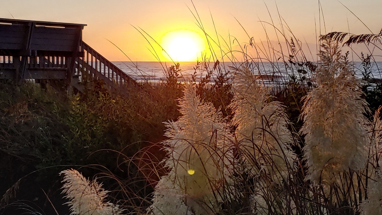 Photo of Outdoor in Surfside Beach