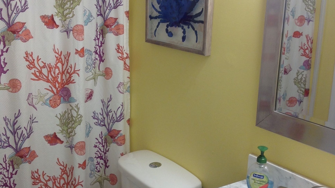 Photo of Bathroom in Surfside Beach