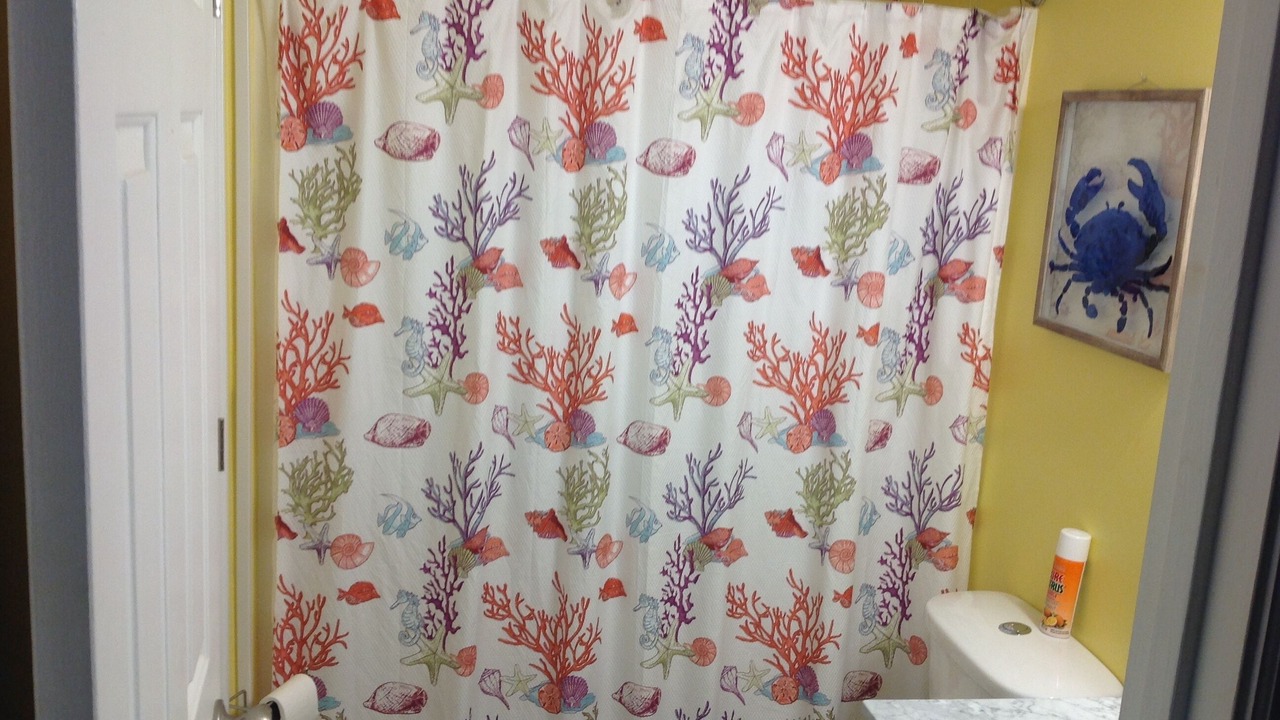 Photo of Bathroom in Surfside Beach