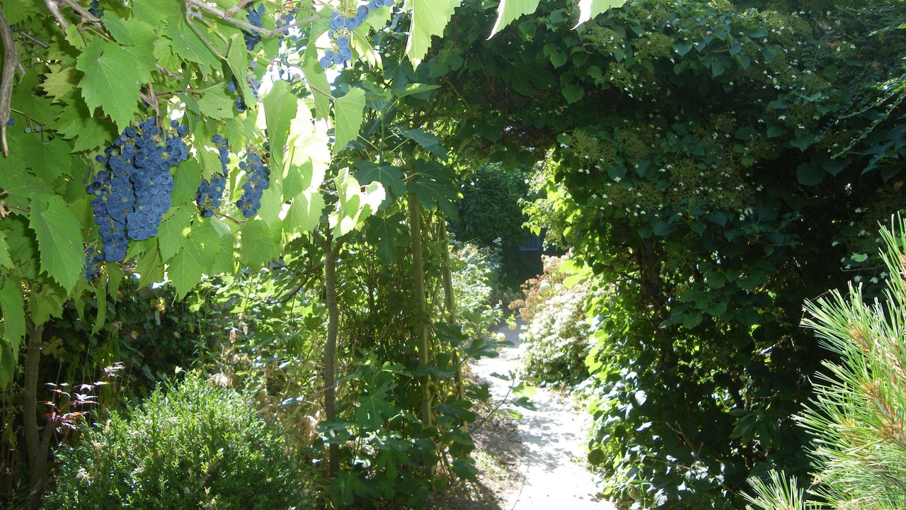 Photo of Outdoor in Binche