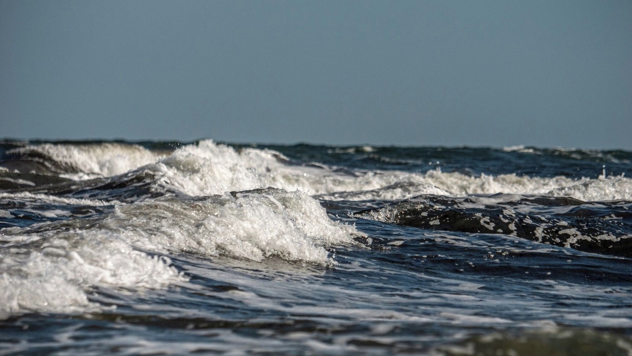 Photo of Others in Dierhagen Strand