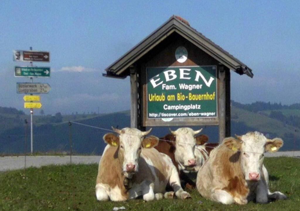 Photo of Outdoor in Waidhofen An Der Ybbs