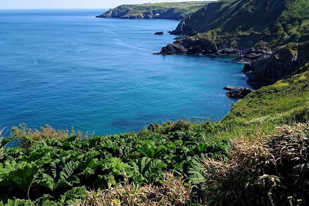 Photo of Others in Cadgwith