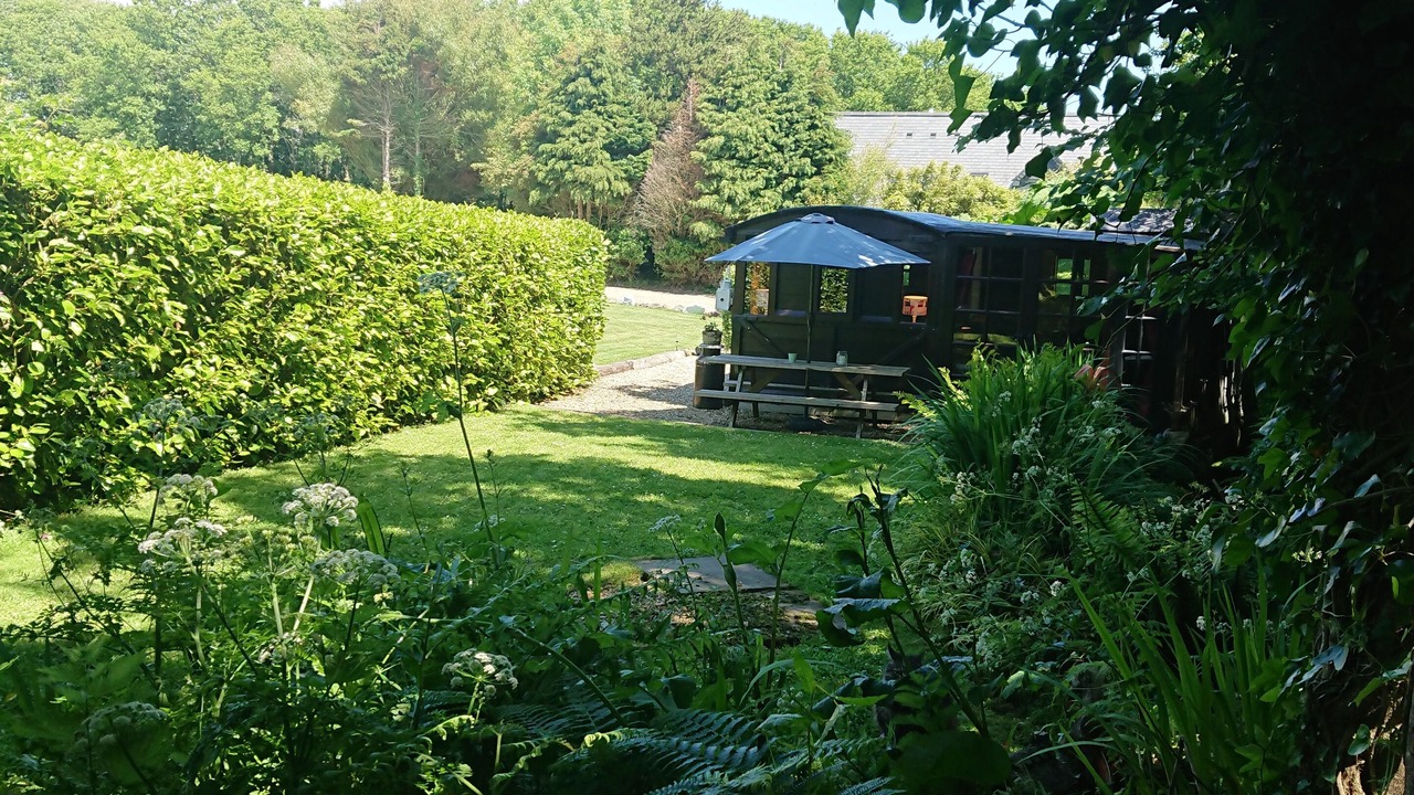 Photo of Outdoor in Cadgwith