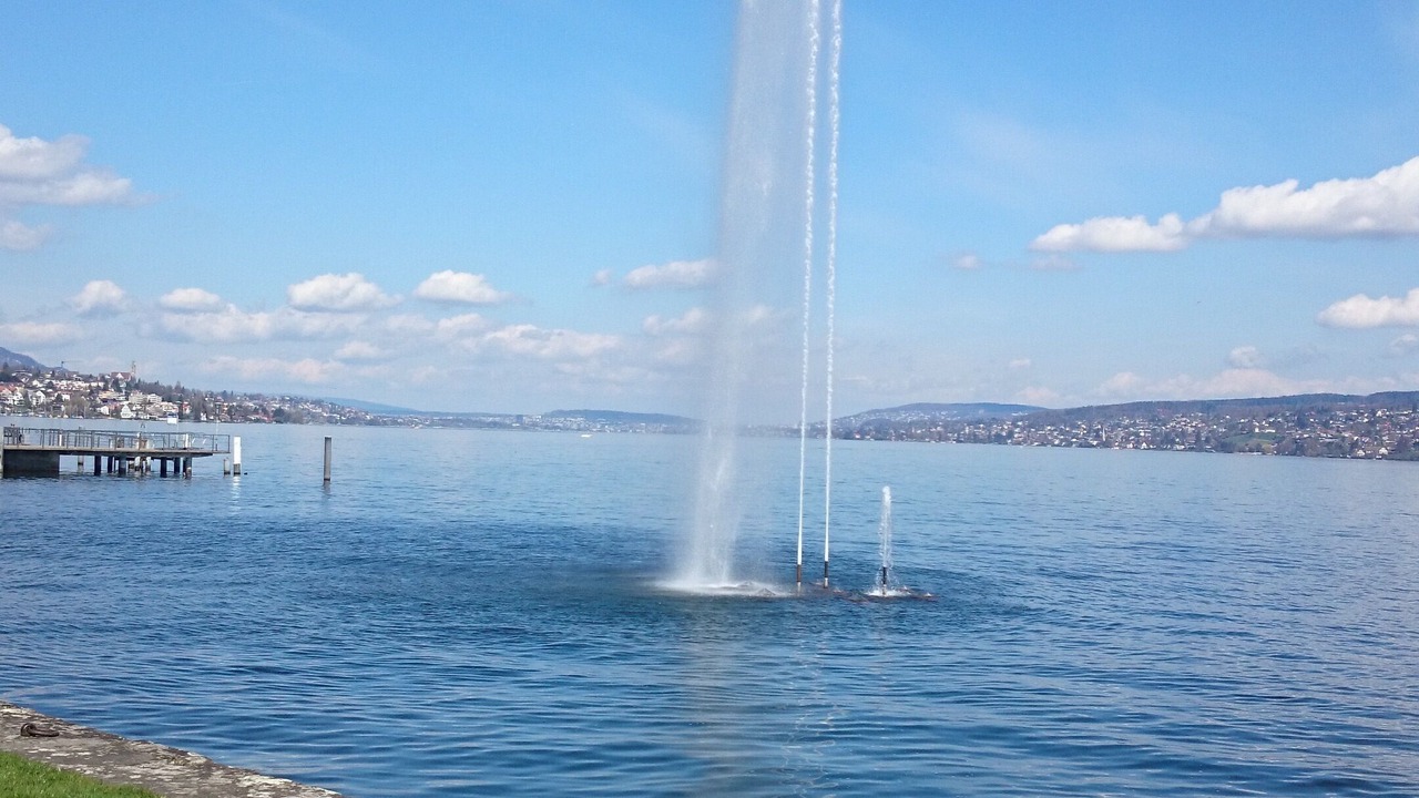 Photo of Others in Horgen District