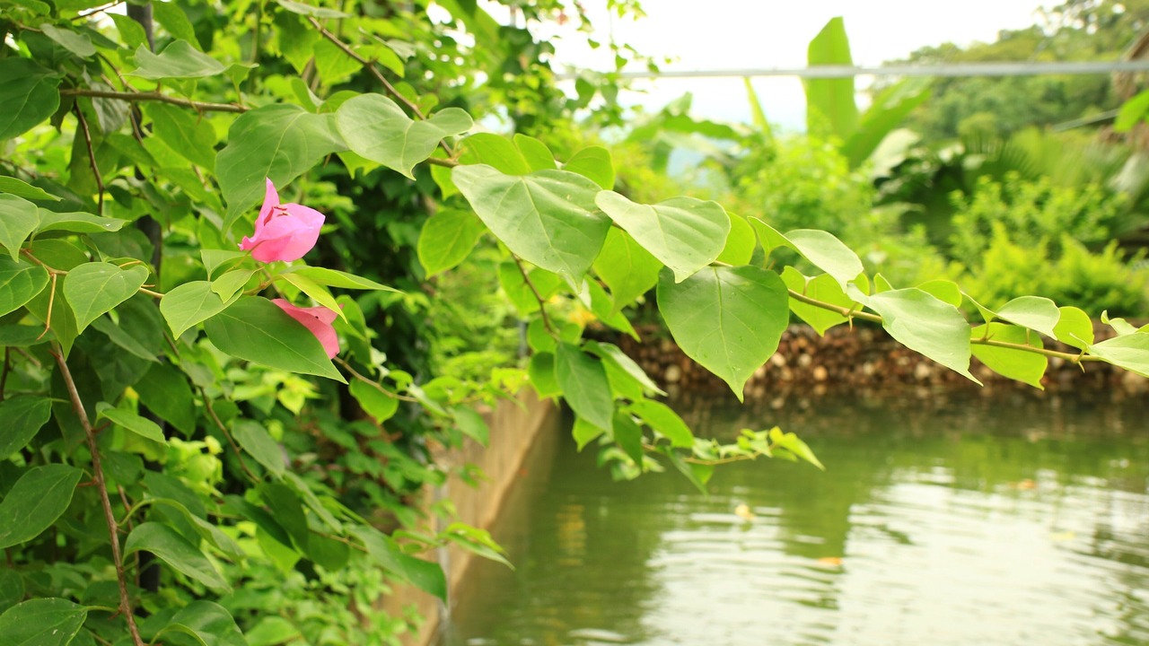 Photo of Outdoor in Ha Giang