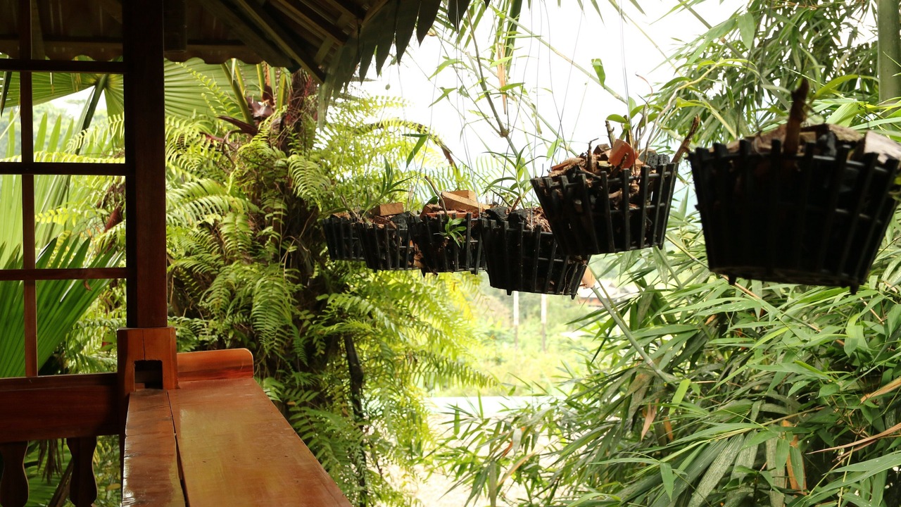 Photo of Outdoor in Ha Giang
