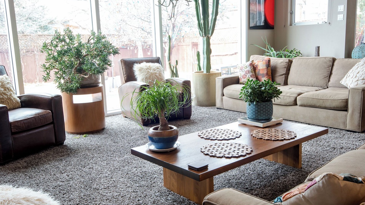 Photo of Livingroom in University Park