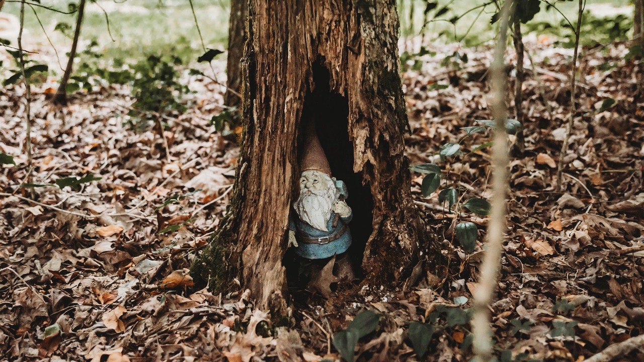 Photo of Outdoor in Monteagle