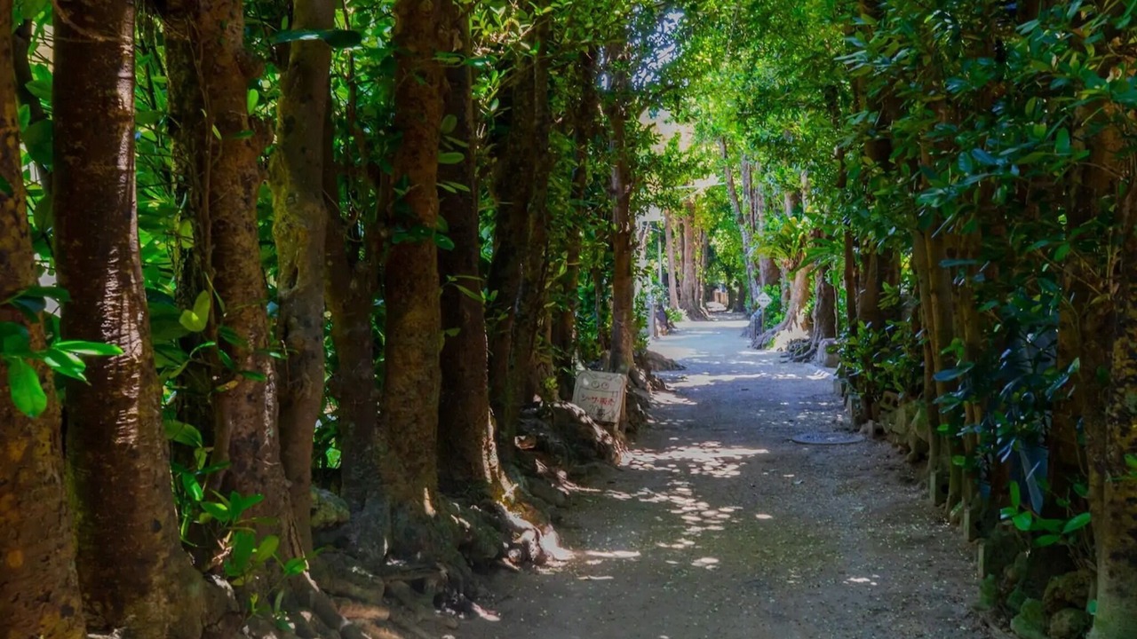 Photo of Outdoor in Bise