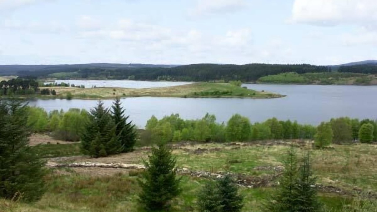 Photo of Others in Hexham