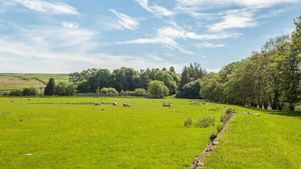 Photo of Others in Hexham
