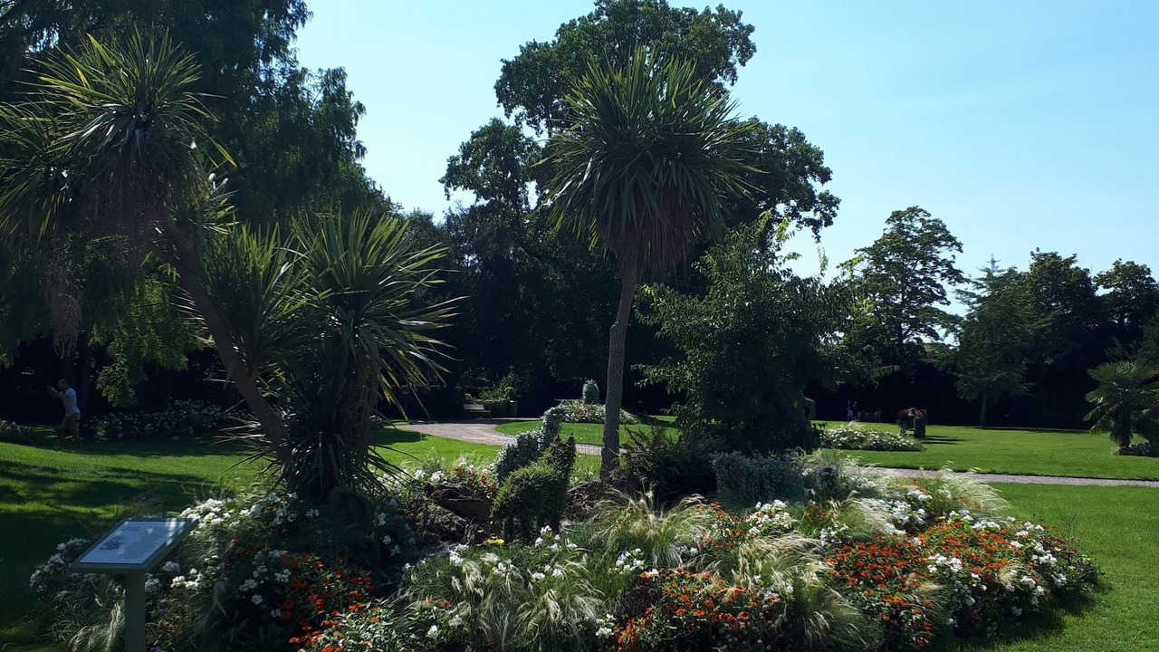 Photo of Outdoor in Lucon