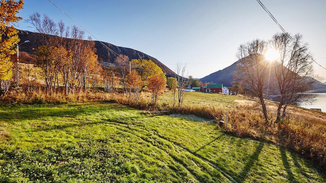 Photo of Others in Kvaefjord Municipality