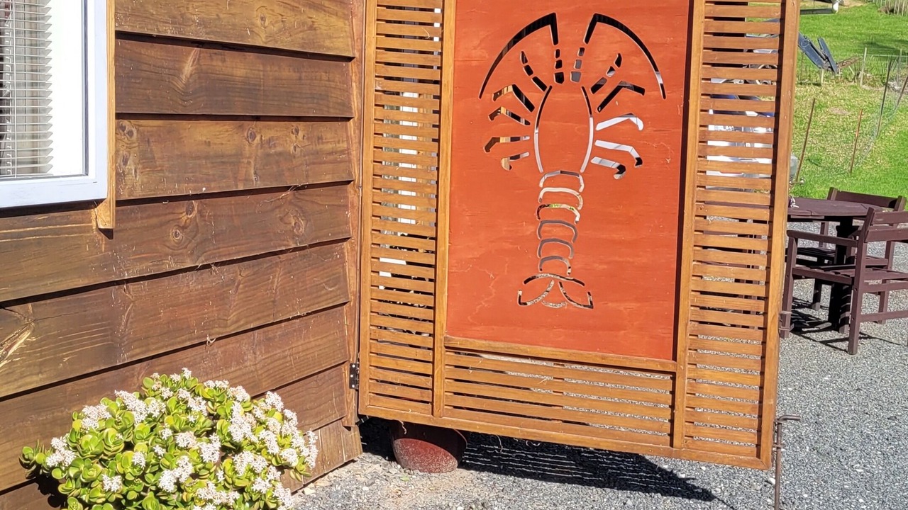 Photo of Outdoor in Whangarei Heads